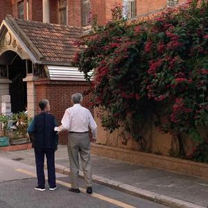 网站大全黄免费
