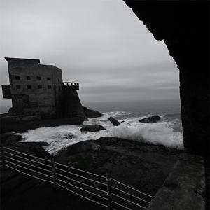 网站大全黄免费
