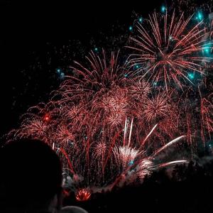 网站大全黄免费
