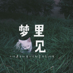 网站大全黄免费
